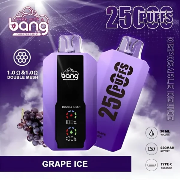 Bang 25000 Puffs 超大屏幕 超大容量可充電拋棄式電子煙