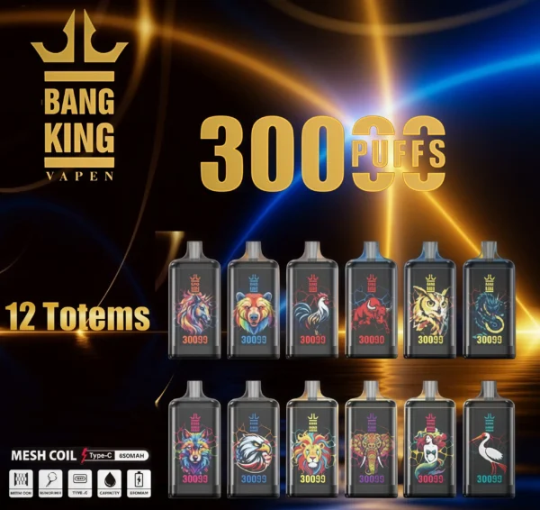 Bang King 30000口 DSK057 一次性電子煙 台灣現貨口超大容量風味豐富次性電子煙推薦