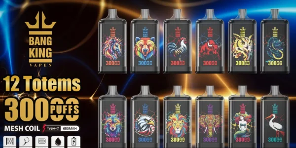 Bang King 30000口 DSK057 一次性電子煙 台灣現貨口超大容量風味豐富次性電子煙推薦