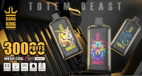 Bang King 30000口 DSK057 一次性電子煙 台灣現貨口超大容量風味豐富次性電子煙推薦