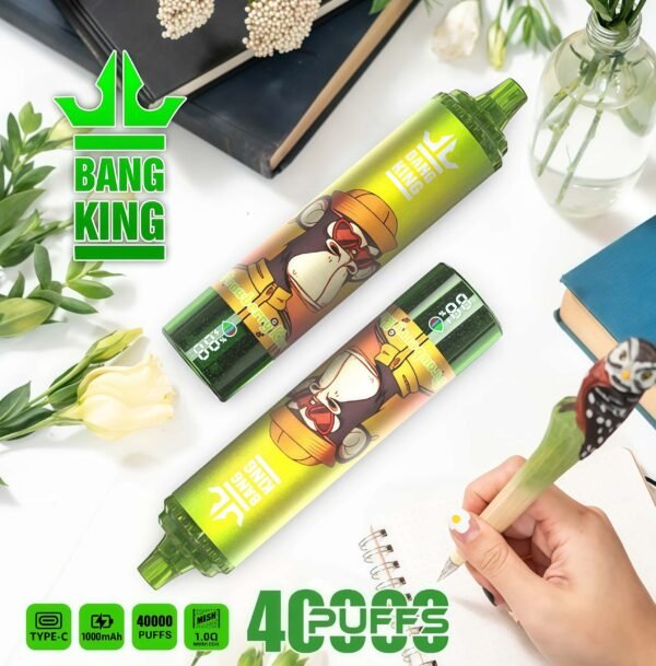 Bang King 40000 DSK059 一次性電子煙 台灣現貨|超大容量風味豐富可充電 |電子煙推薦