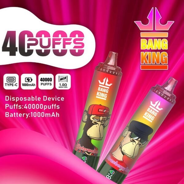 Bang King 40000 DSK059 一次性電子煙 台灣現貨|超大容量風味豐富可充電 |電子煙推薦