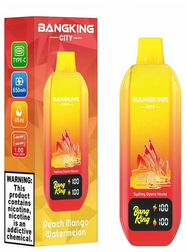 Bang King 50000 City BK5 CT DSK046 一次性電子煙 台灣現貨一次性電子煙推薦 派對解癮神器