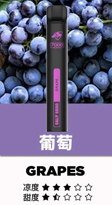 熱門小黑條|鯊克7000口 拋棄式電子煙｜Salt Shaq 7000 Puffs小黑條